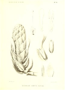n152_w1150