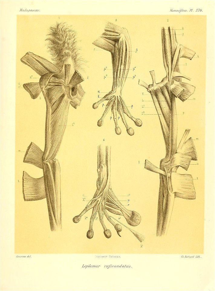 n364_w1150