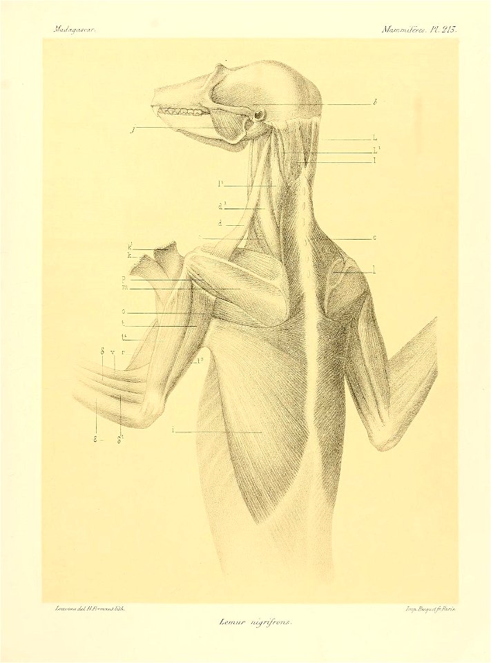 n240_w1150