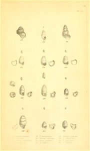 n352_w1150