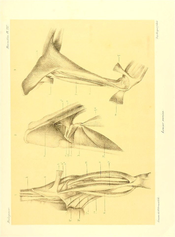 n268_w1150