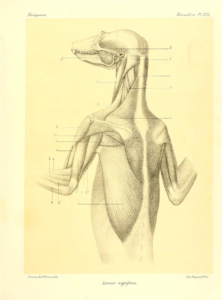 n238_w1150