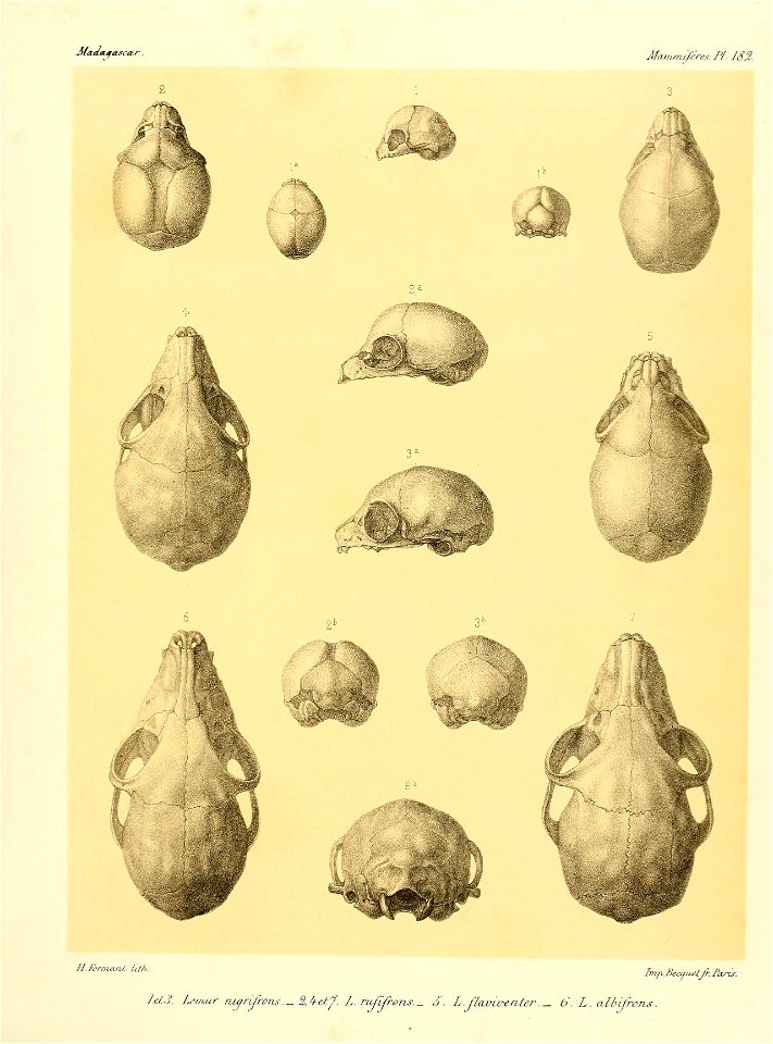 n178_w1150