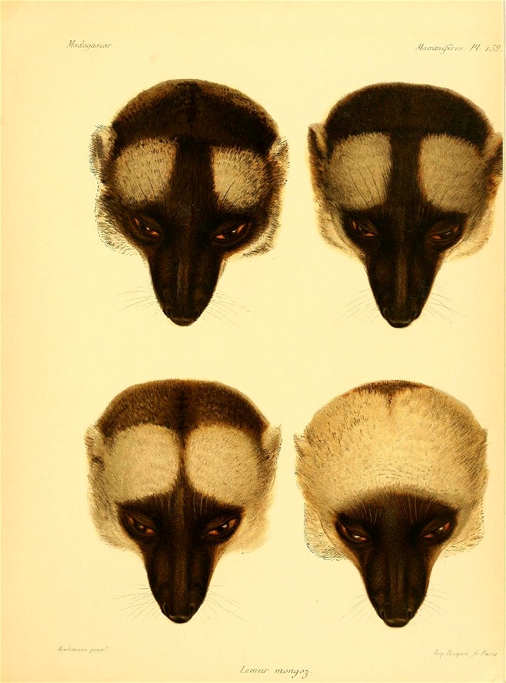 n118_w1150
