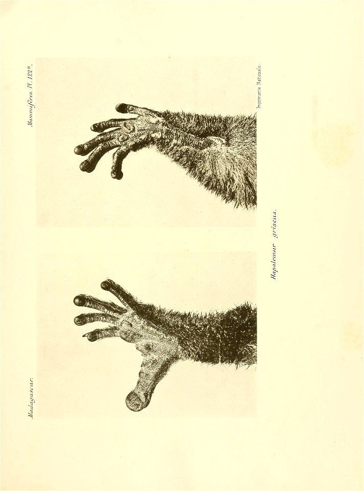 n58_w1150