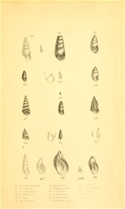 n350_w1150
