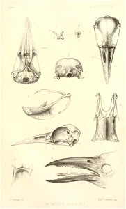 n456_w1150