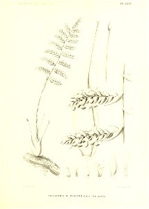 n208_w1150