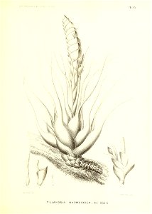 n178_w1150