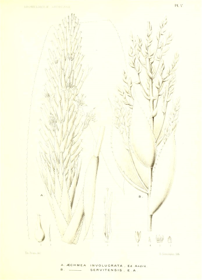 n148_w1150