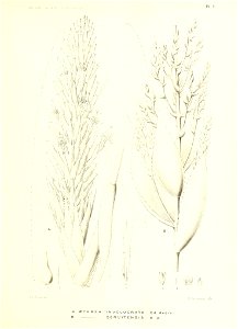 n148_w1150