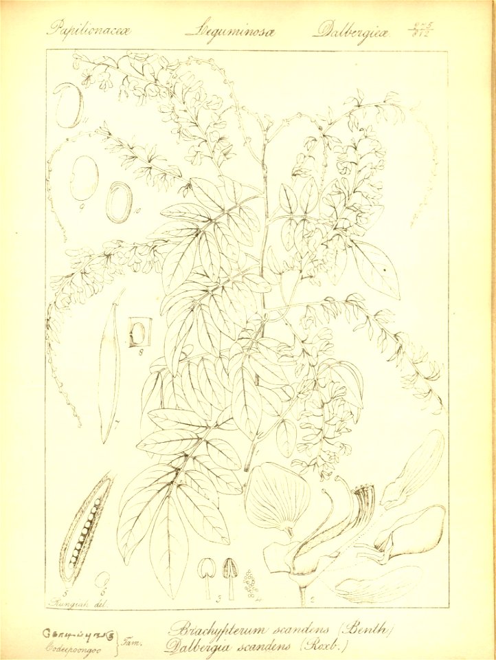n307_w1150