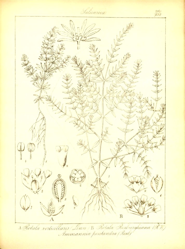 n292_w1150