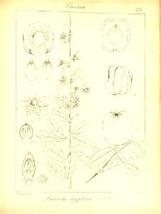 n306_w1150