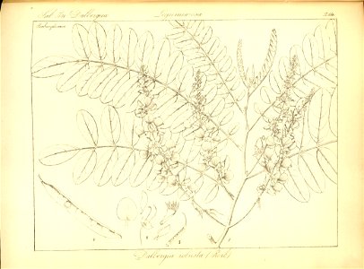 n276_w1150