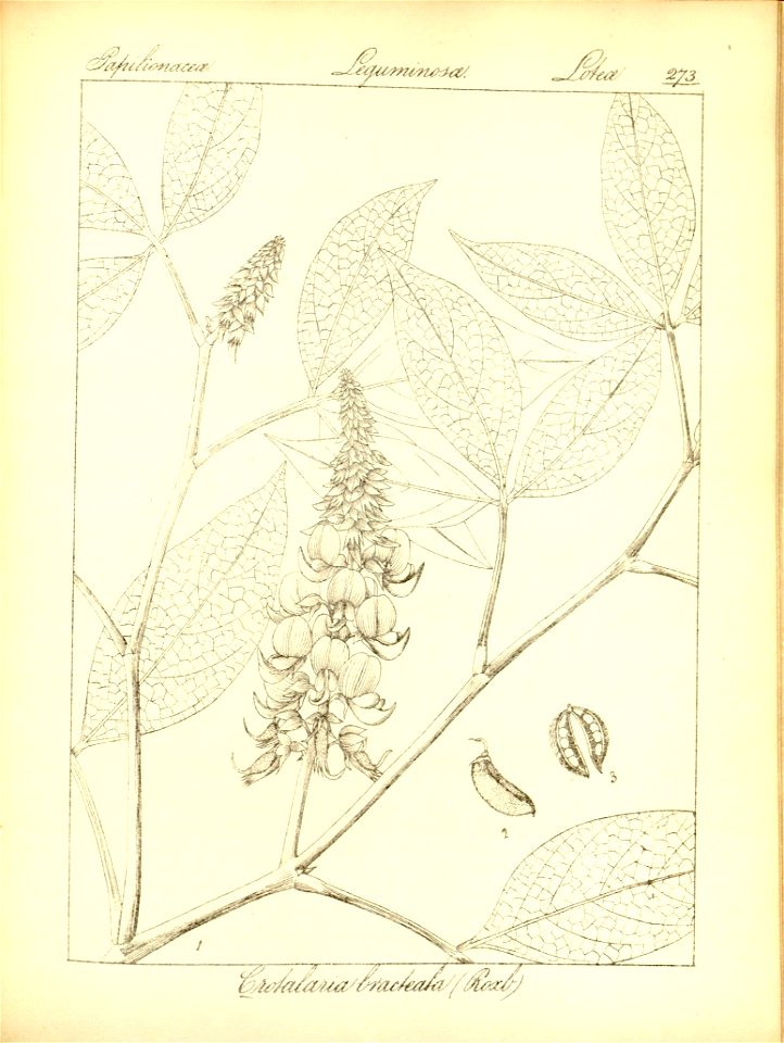 n305_w1150