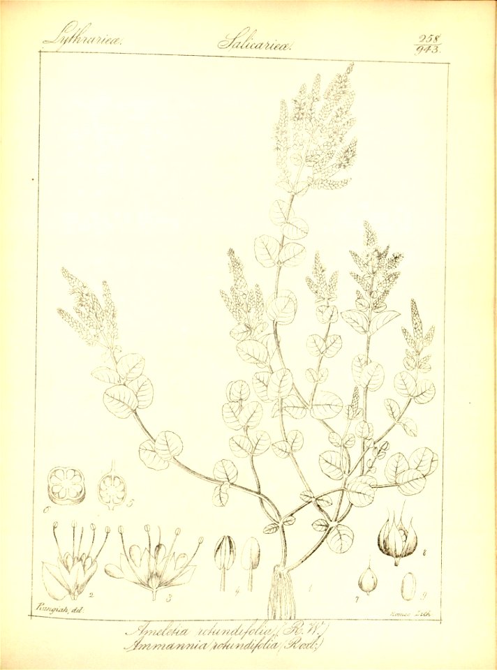 n290_w1150
