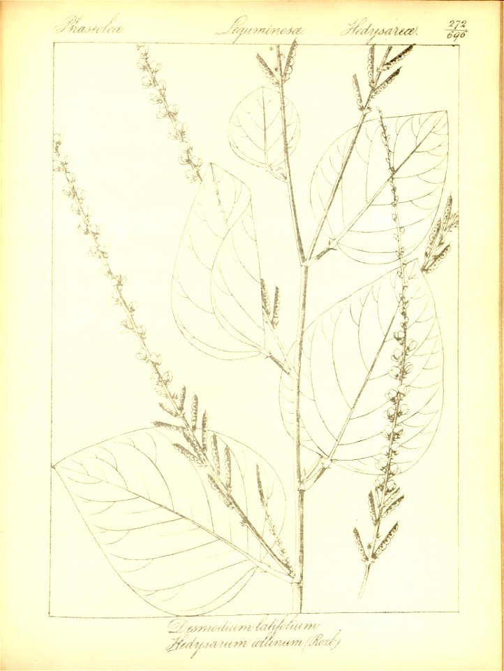 n304_w1150