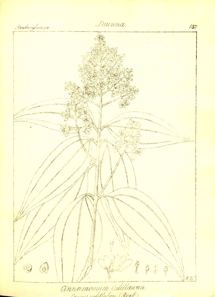 n169_w1150