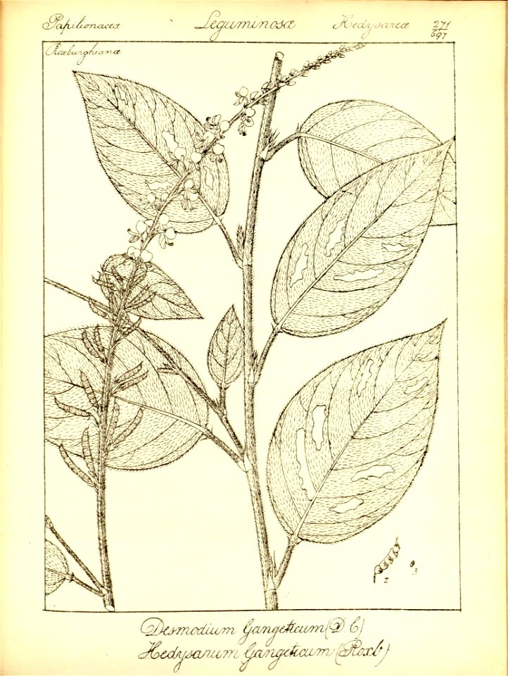 n303_w1150