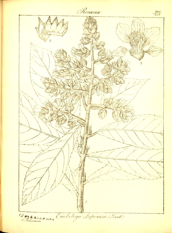 n258_w1150