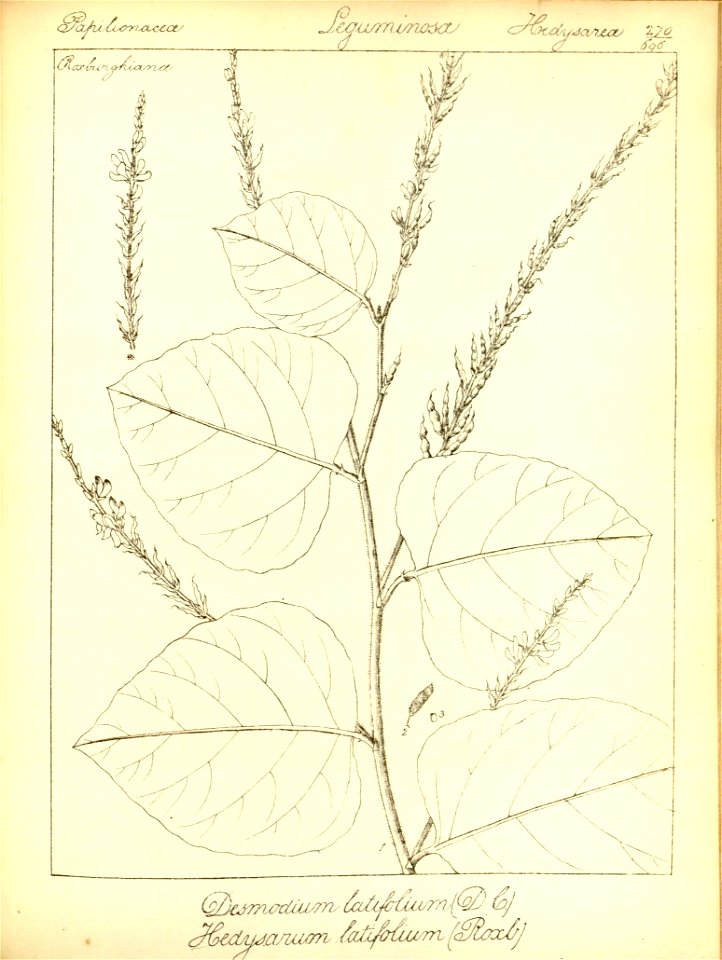 n302_w1150