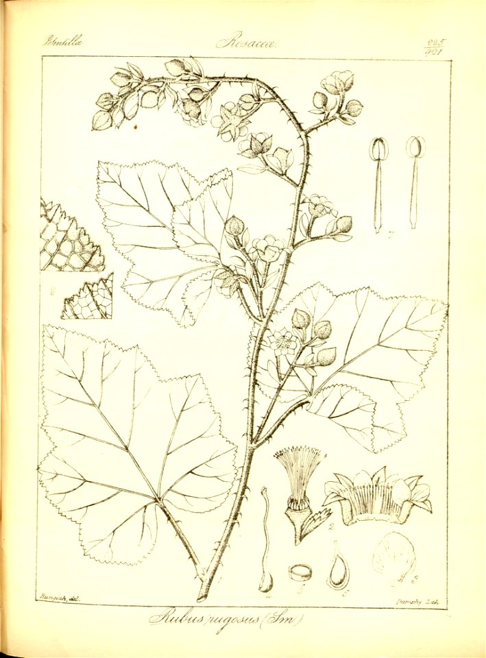 n257_w1150