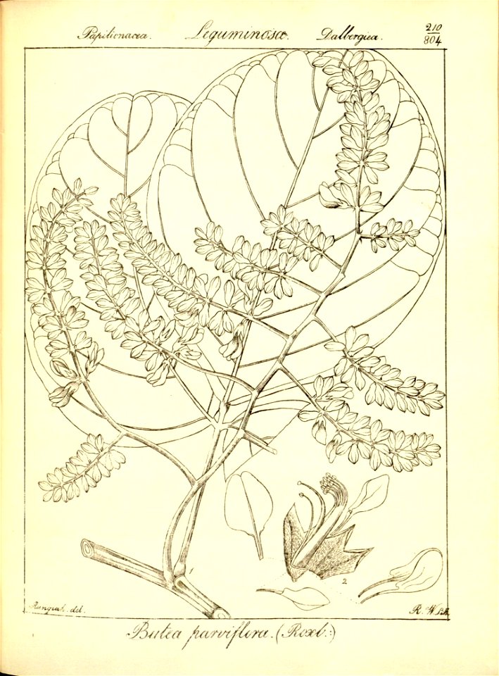 n242_w1150