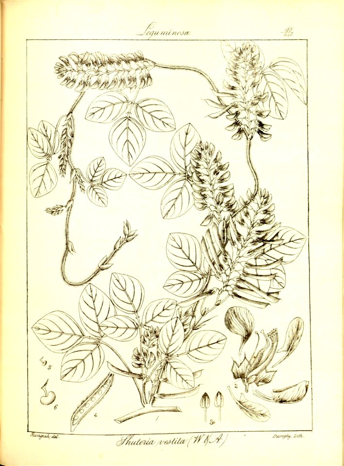 n197_w1150