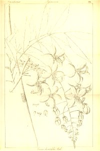 n301_w1150
