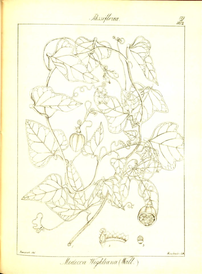 n211_w1150
