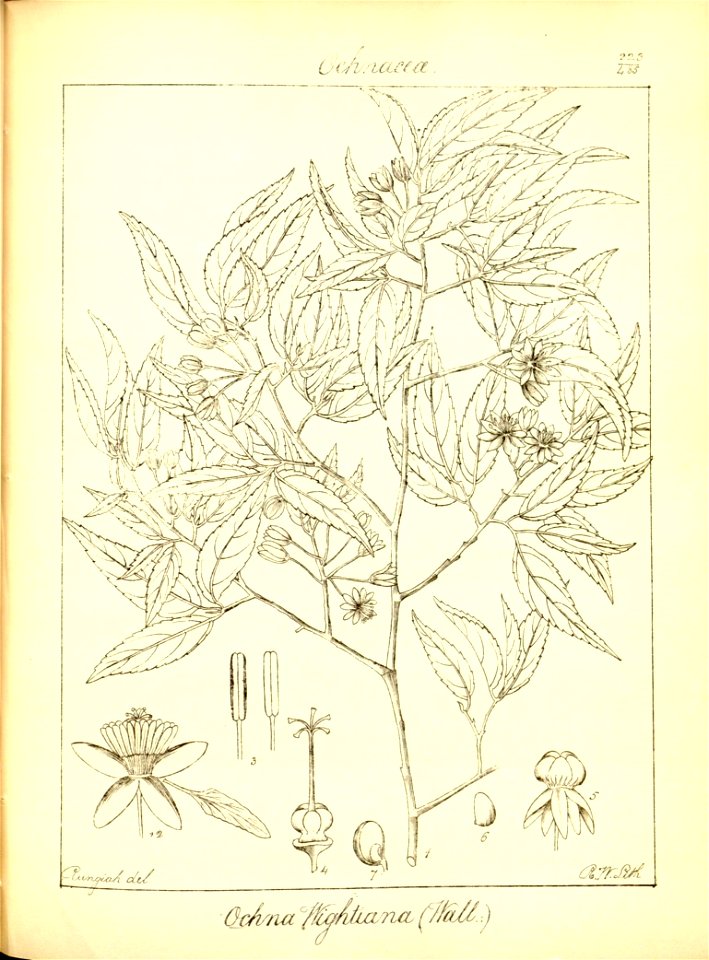 n255_w1150