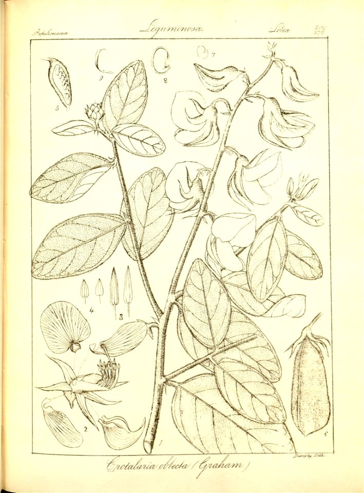 n240_w1150