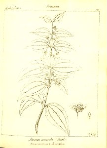 n165_w1150