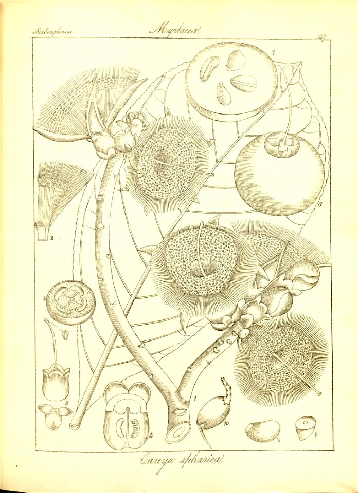 n179_w1150