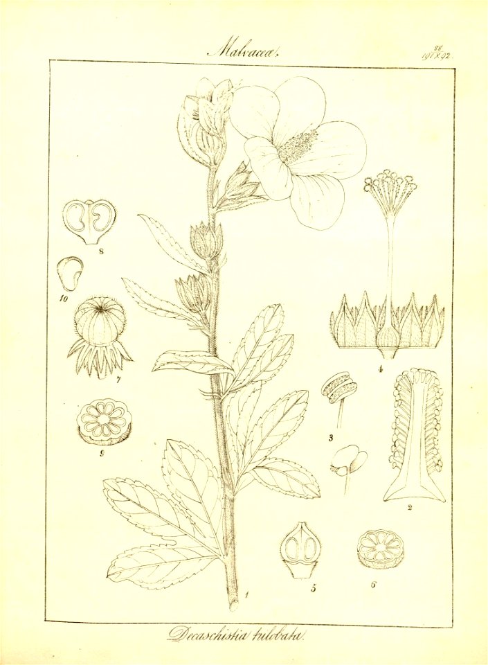 n119_w1150