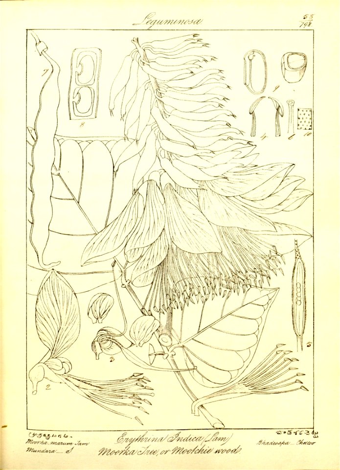 n89_w1150