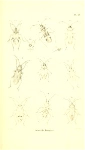 n412_w1150