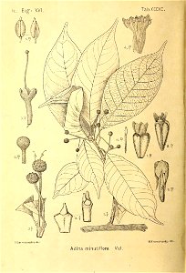 n497_w1150