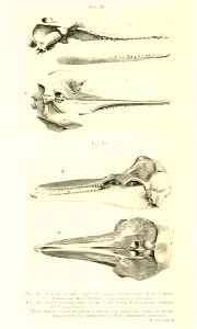 n55_w1150