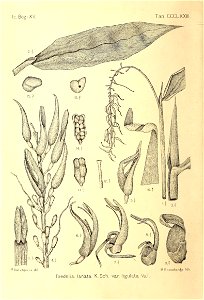n411_w1150