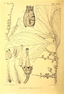 n133_w1150