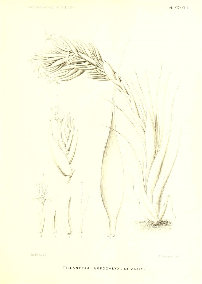 n214_w1150