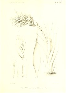 n214_w1150
