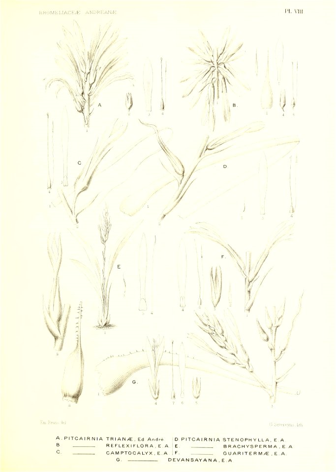 n154_w1150
