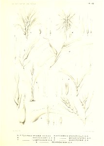 n154_w1150