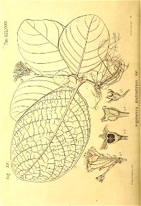 n493_w1150