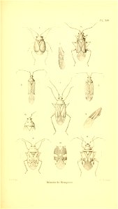 n408_w1150
