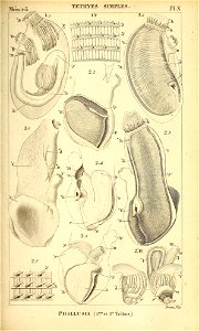 n438_w1150
