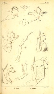 n162_w1150